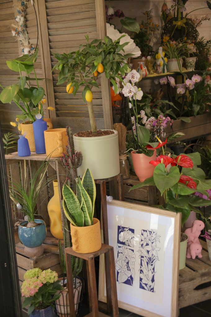 Un Jardin dans ma Ville - Édition 2025 photo 3